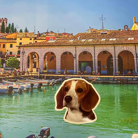 Apartment Desenzanoloft Eridania With Private Garden And Pool Desenzano del Garda